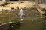 leipzig zoo-01_07_2011_zoo_allgemein_402
